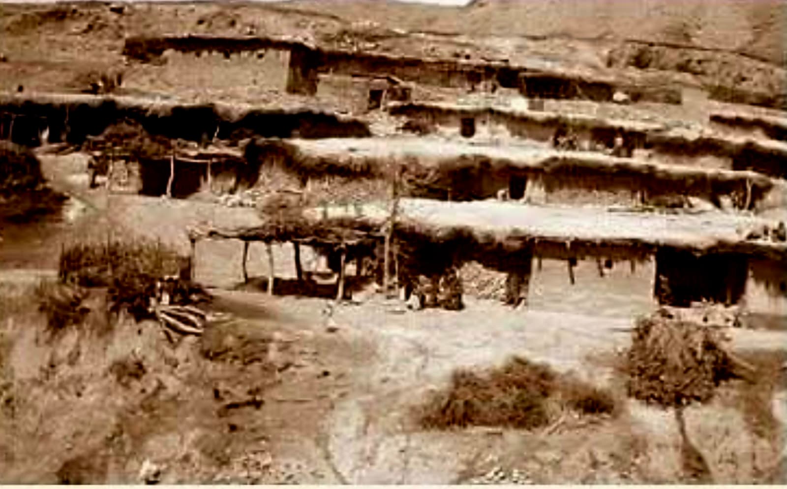 גלריית מהרי כורדיסטן לסמטאות ירושלים  חלק 5