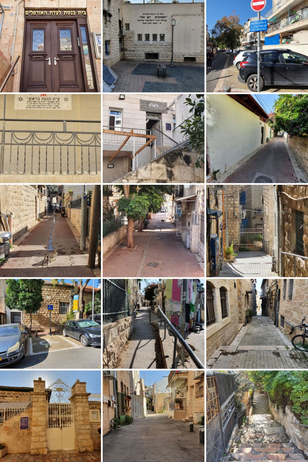 תמונה מהסיור מהרי כורדיסטן לסמטאות ירושלים 