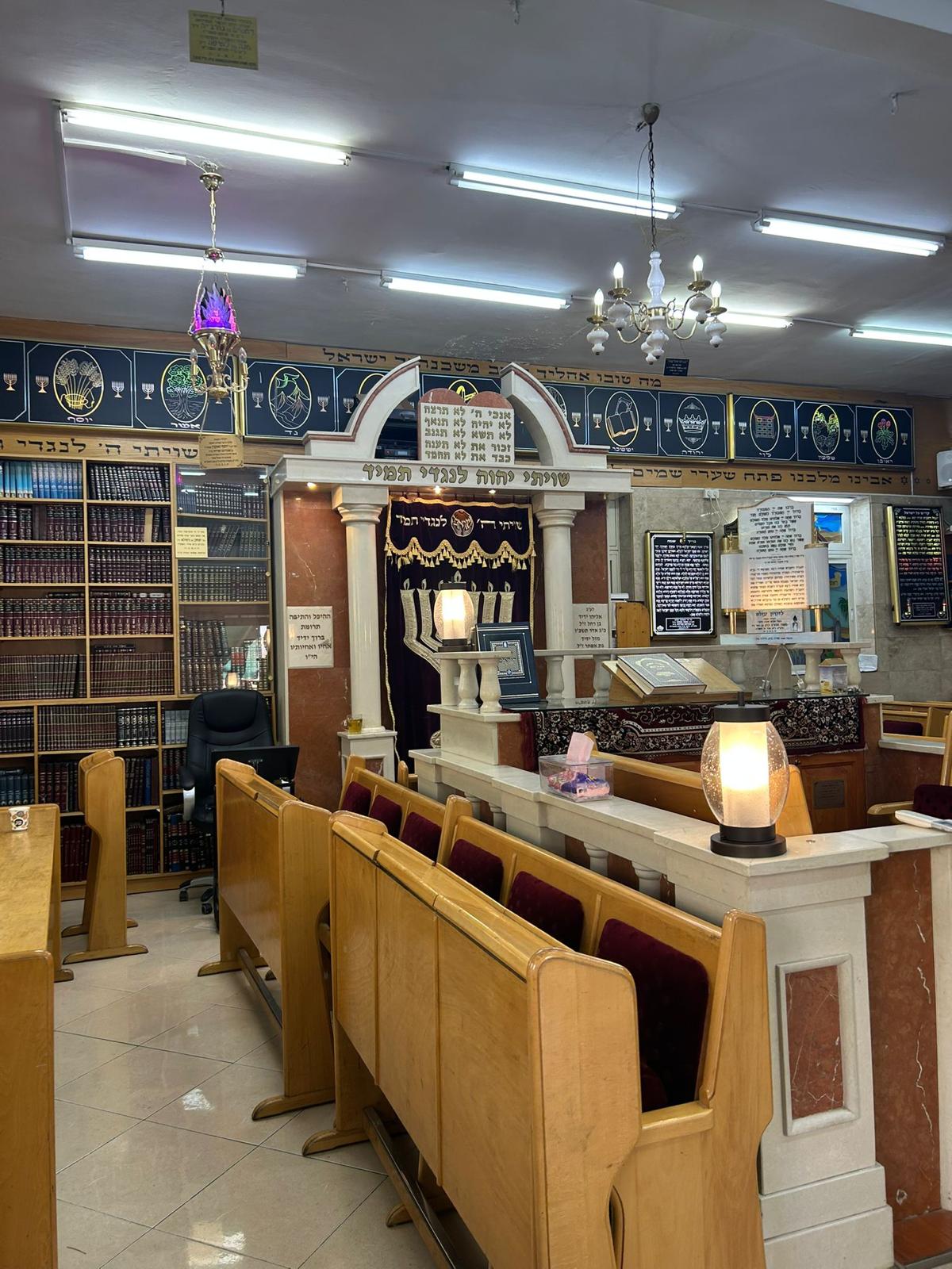 גלריית מהרי כורדיסטן לסמטאות ירושלים  חלק 8