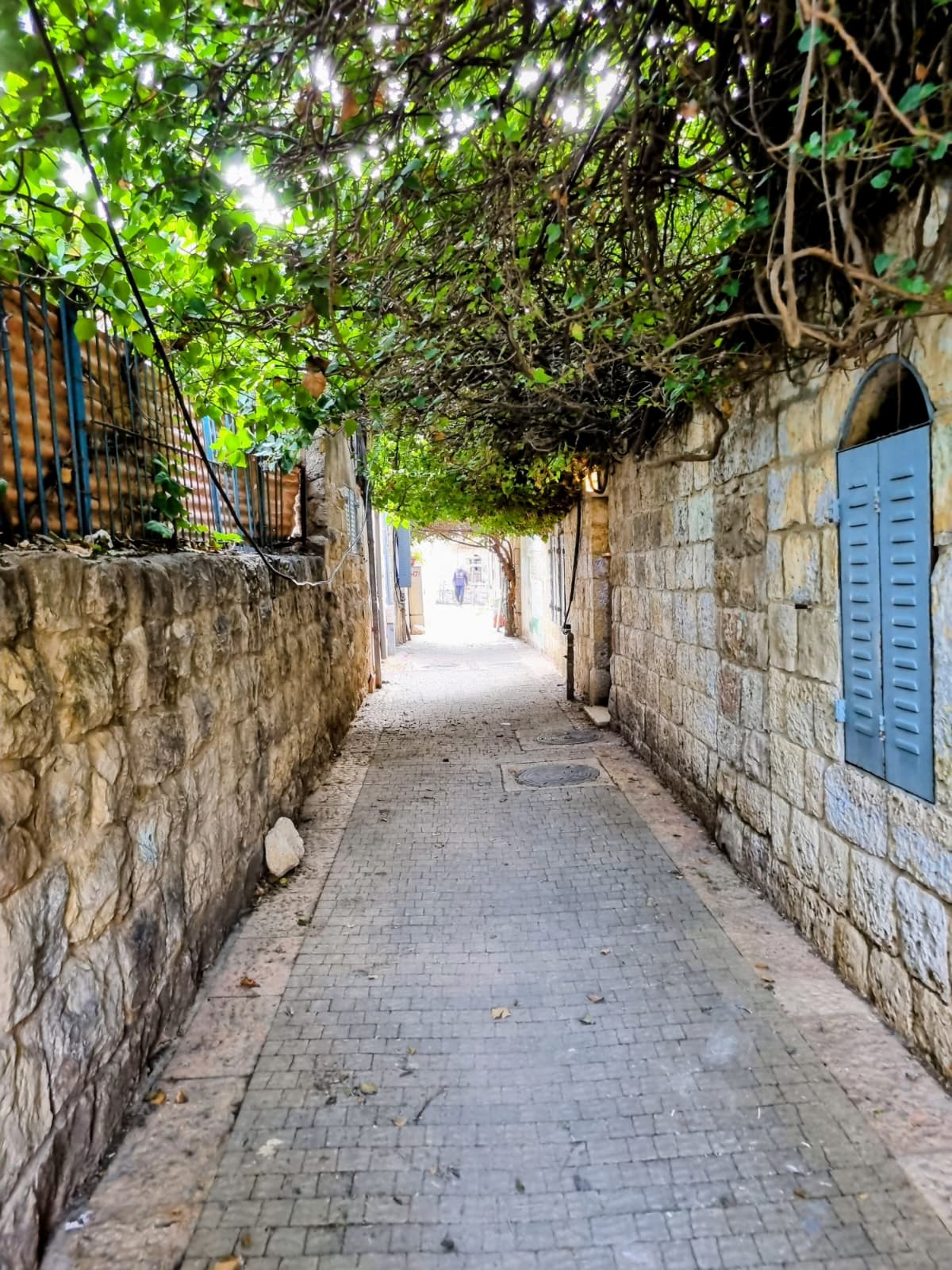 גלריית מהרי כורדיסטן לסמטאות ירושלים  חלק 3