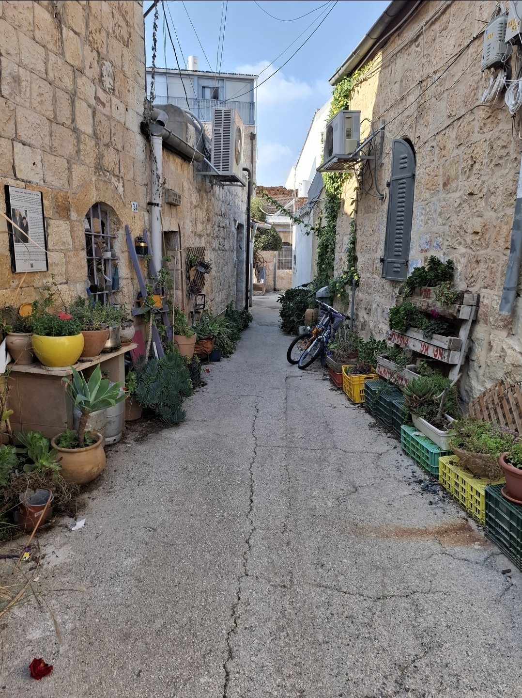 גלריית תנו לסמטאות לספר - סיורים מרתקים בלב נחלאות חלק 2
